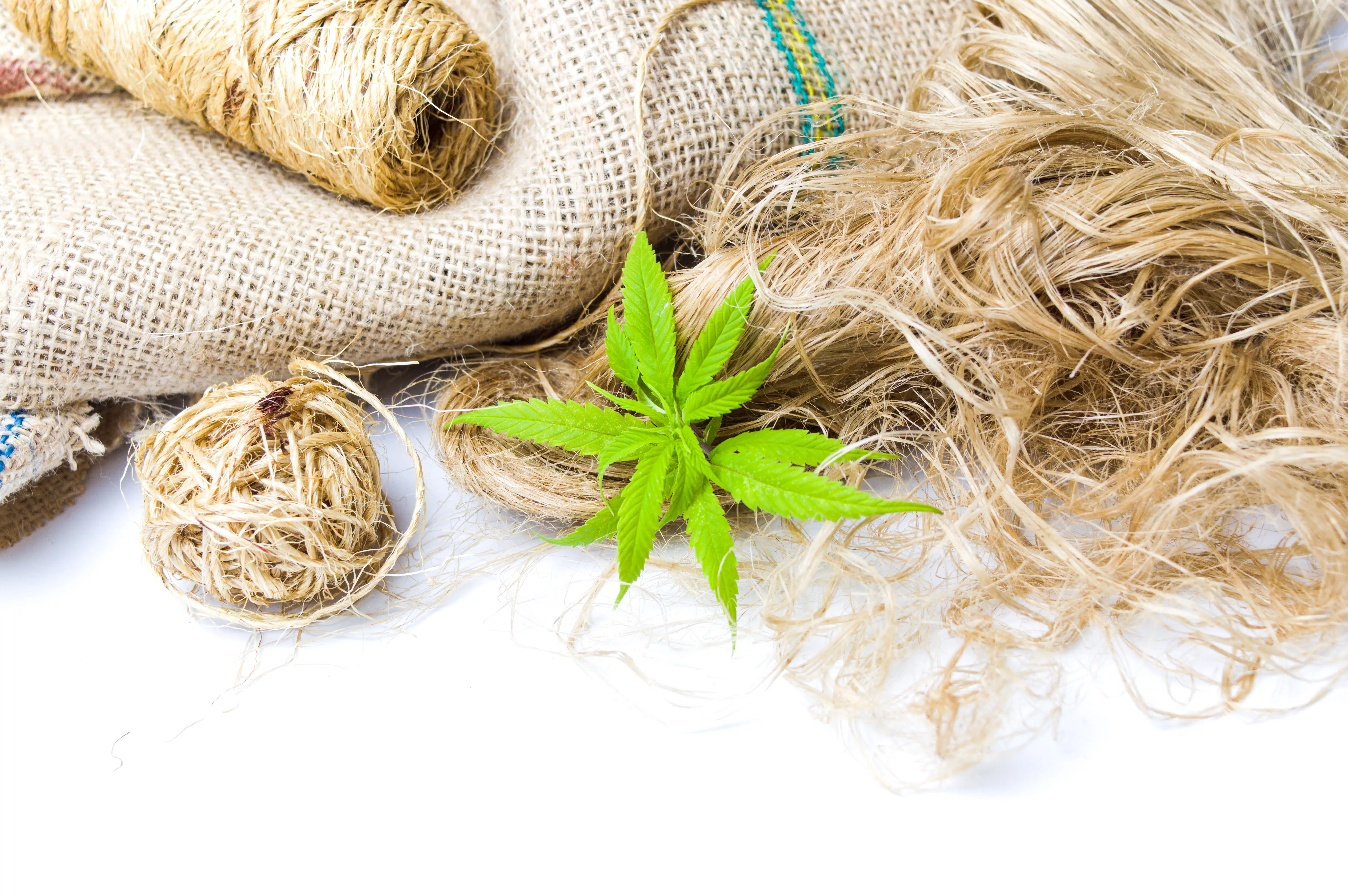 Hemp Stalks are the basis of a plethora of hemp products